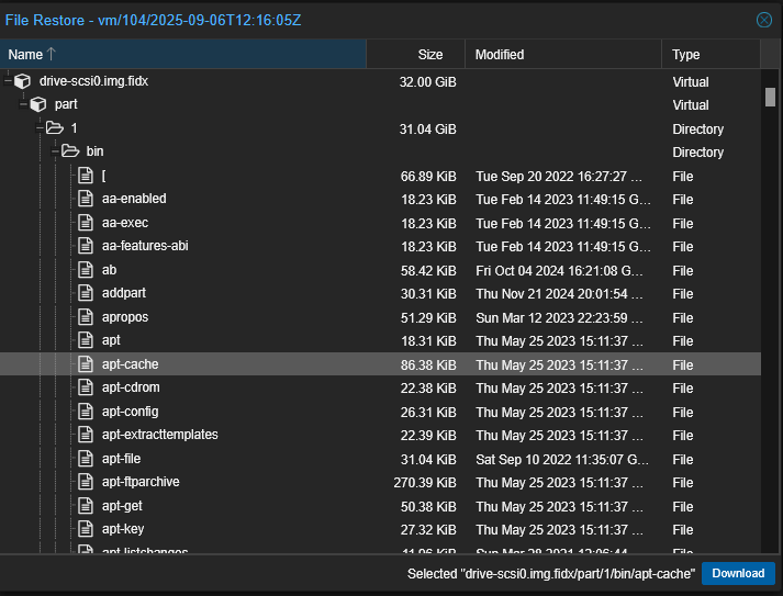 Restoring an individual file from a vm backup