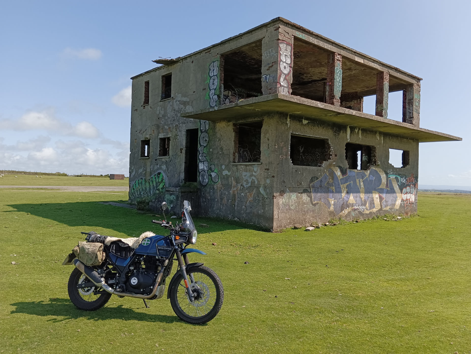 Himalayan St Davidstowe